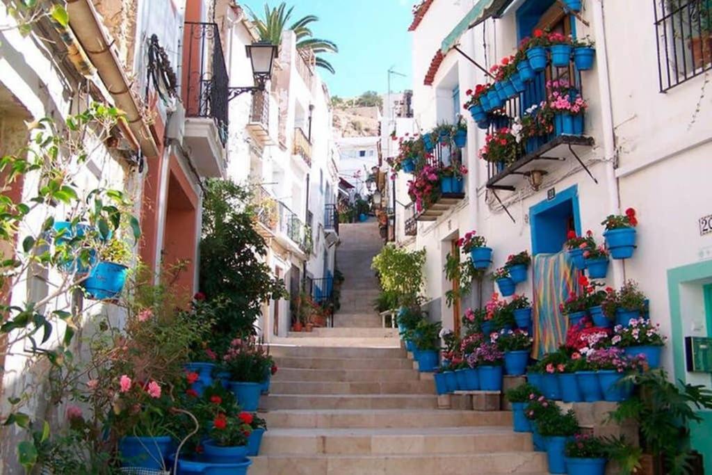 Espacioso Y Centrico Piso Con Zona Chill-Out Alicante Eksteriør bilde